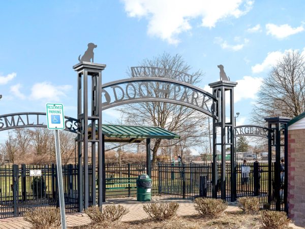 Wurzburg dog Park 5